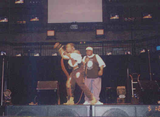 CAMILLIONSTAGE.JPG (14566 bytes)