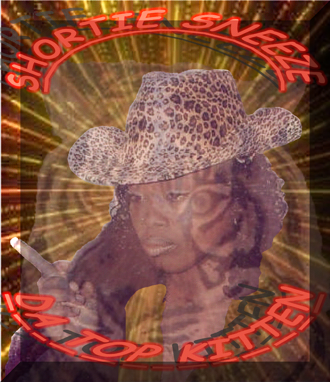 DATOPKITTENPROMO.gif (795356 bytes)